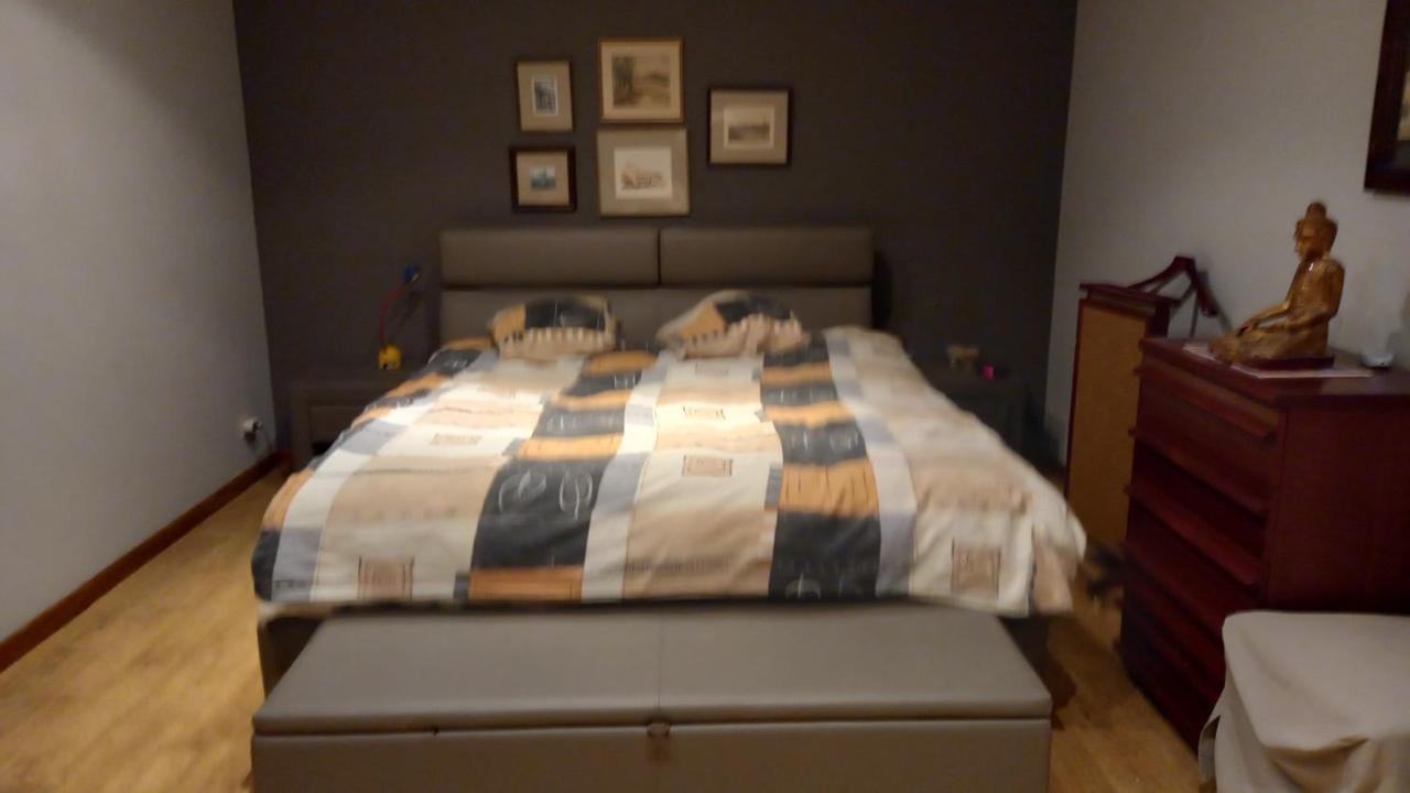 Luxe Appartement Met 3 Slaapkamers En 1 Kingsize Bed Slaapzetel En Drie Dubbelbedden Дендермонде Екстериор снимка